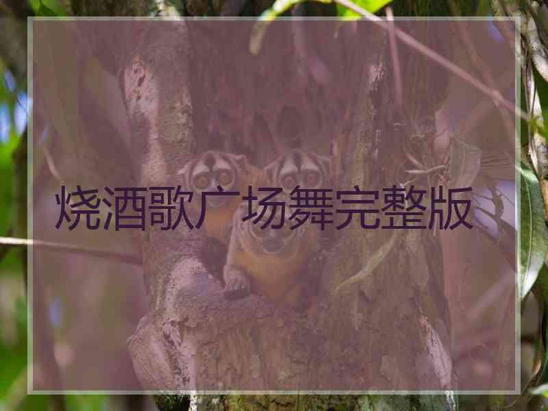 烧酒歌广场舞完整版