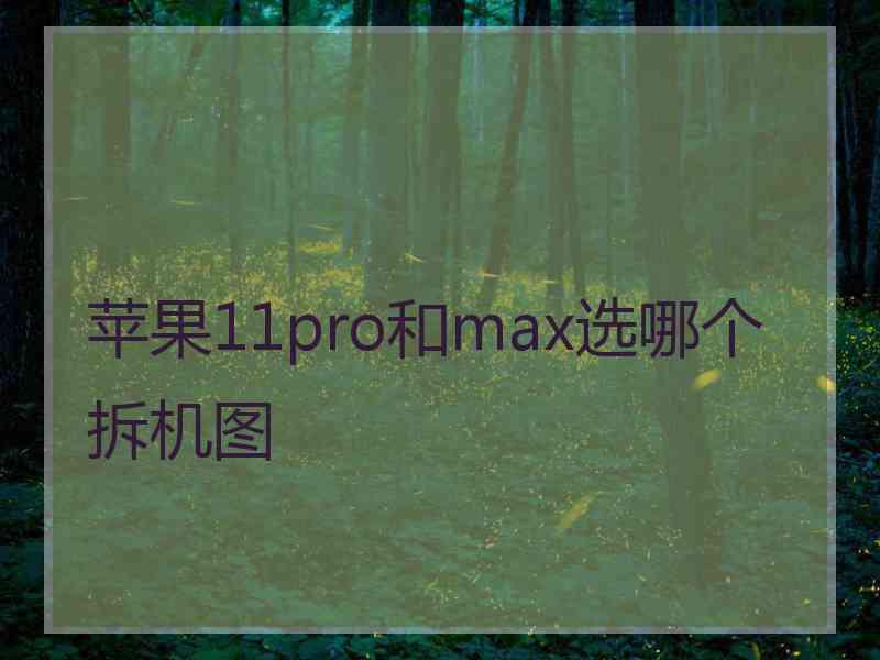 苹果11pro和max选哪个拆机图