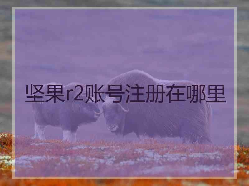 坚果r2账号注册在哪里