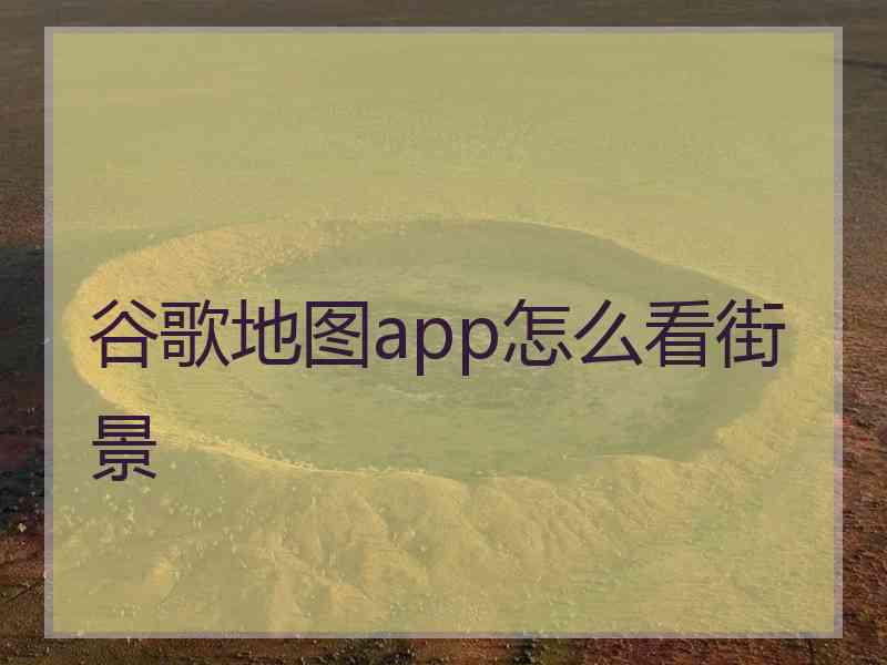 谷歌地图app怎么看街景