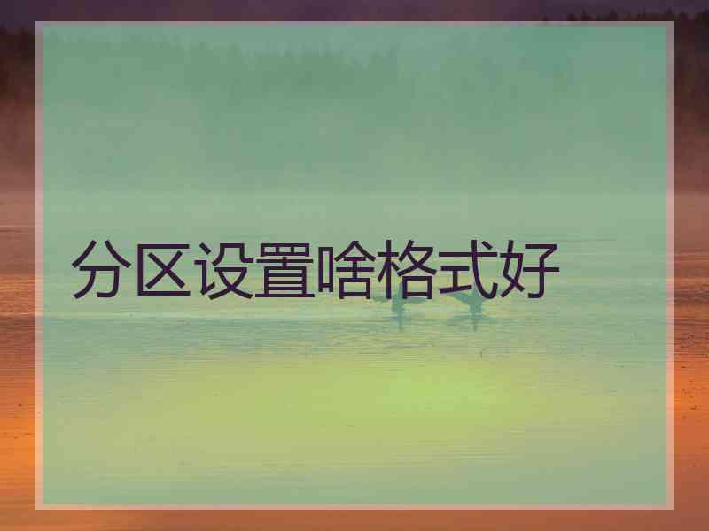分区设置啥格式好