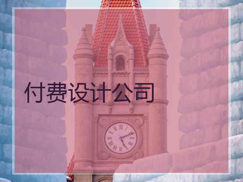 付费设计公司