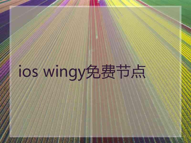 ios wingy免费节点
