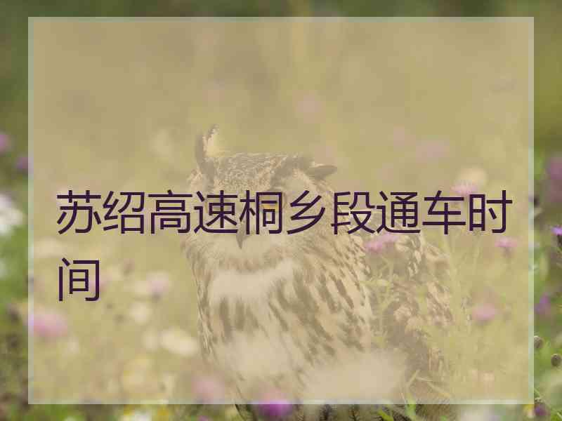 苏绍高速桐乡段通车时间