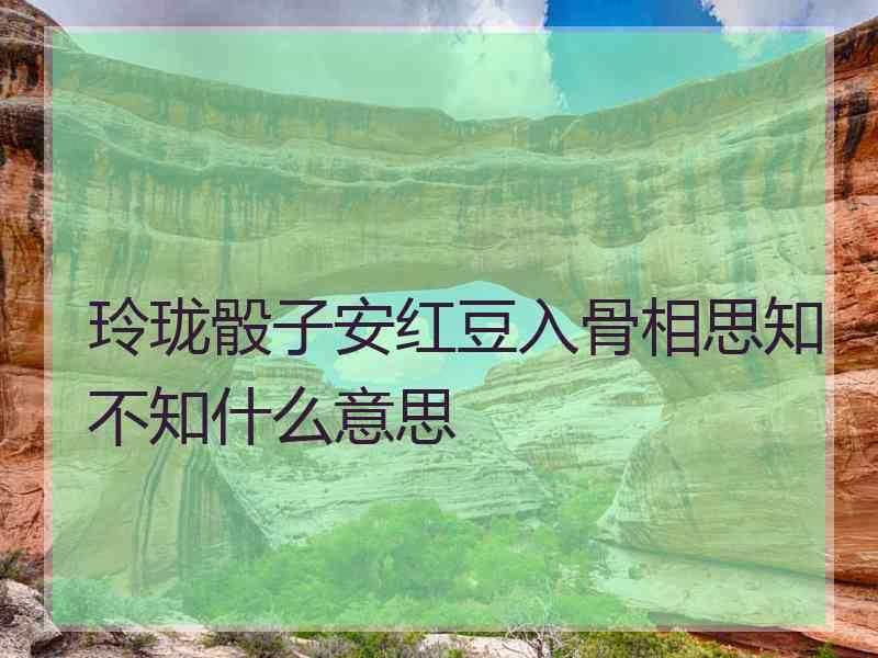 玲珑骰子安红豆入骨相思知不知什么意思