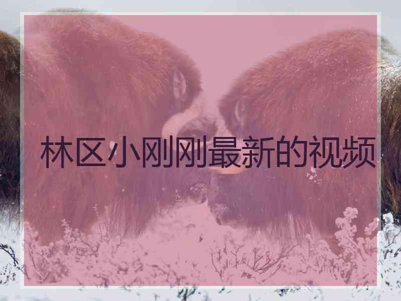林区小刚刚最新的视频