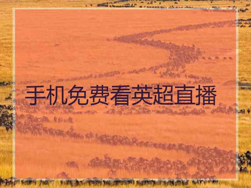 手机免费看英超直播