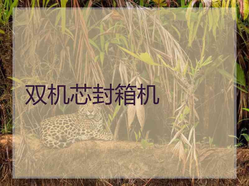 双机芯封箱机