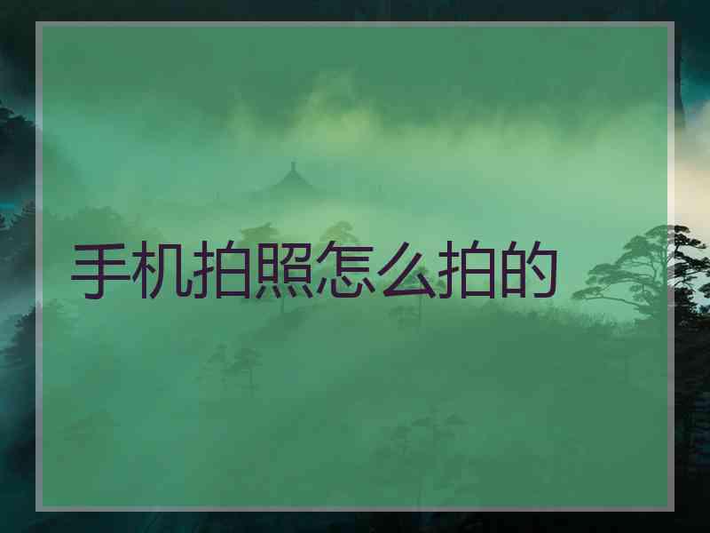 手机拍照怎么拍的
