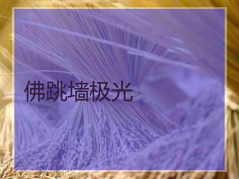 佛跳墙极光