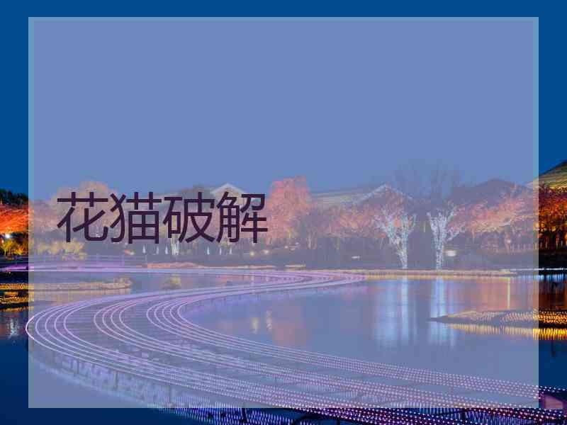 花猫破解