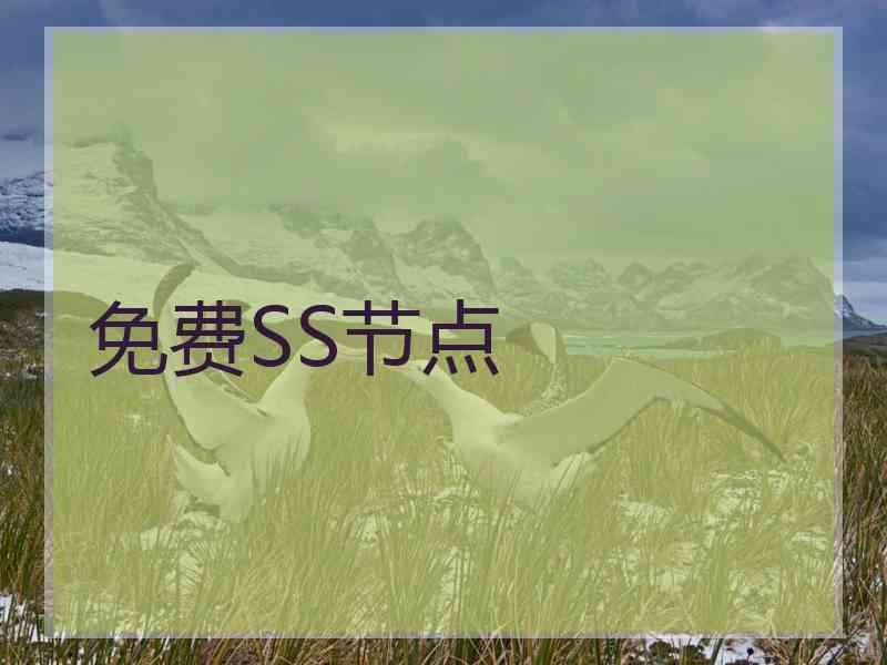 免费SS节点
