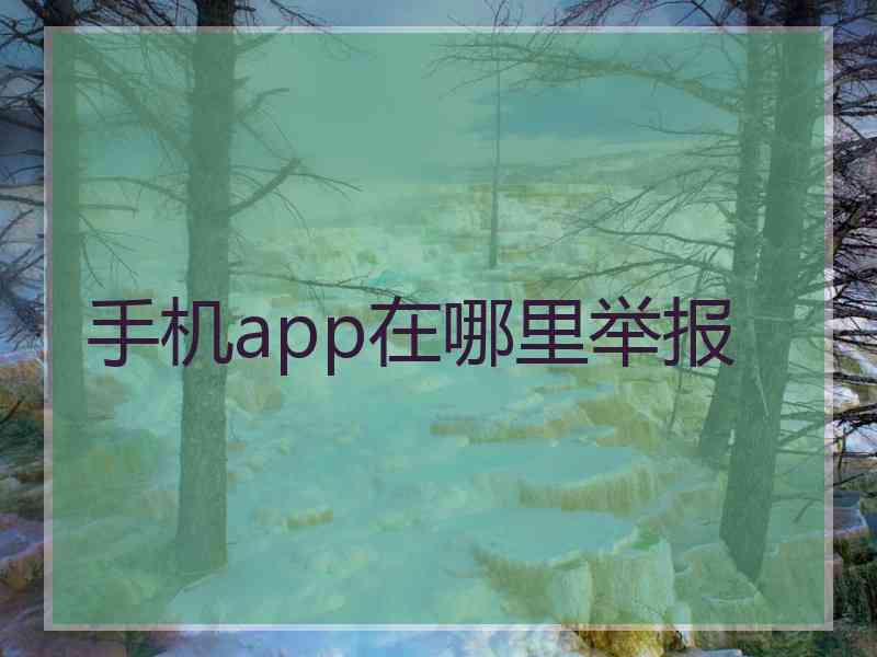 手机app在哪里举报