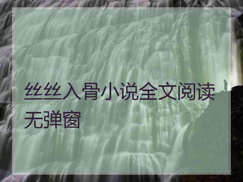丝丝入骨小说全文阅读无弹窗