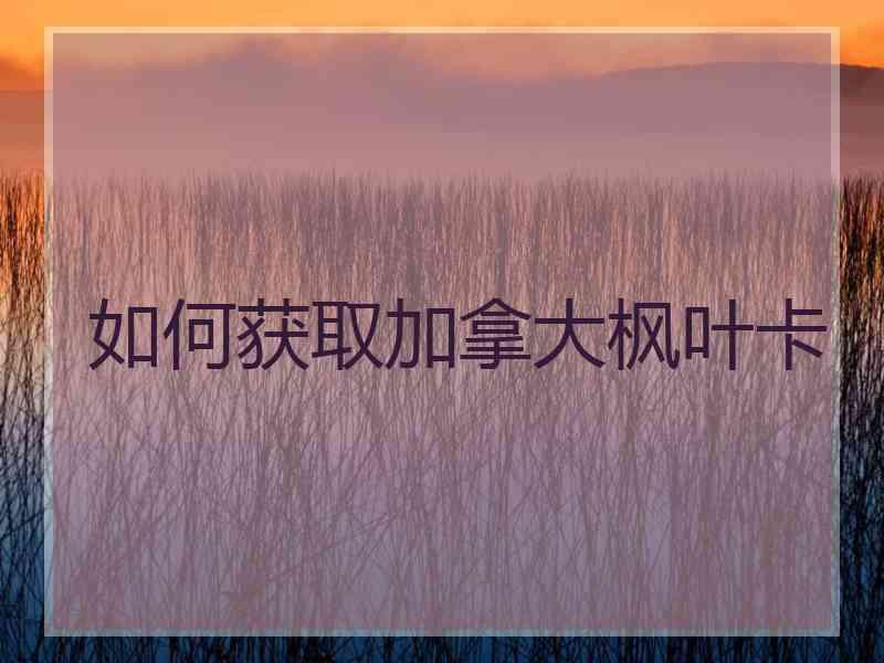 如何获取加拿大枫叶卡