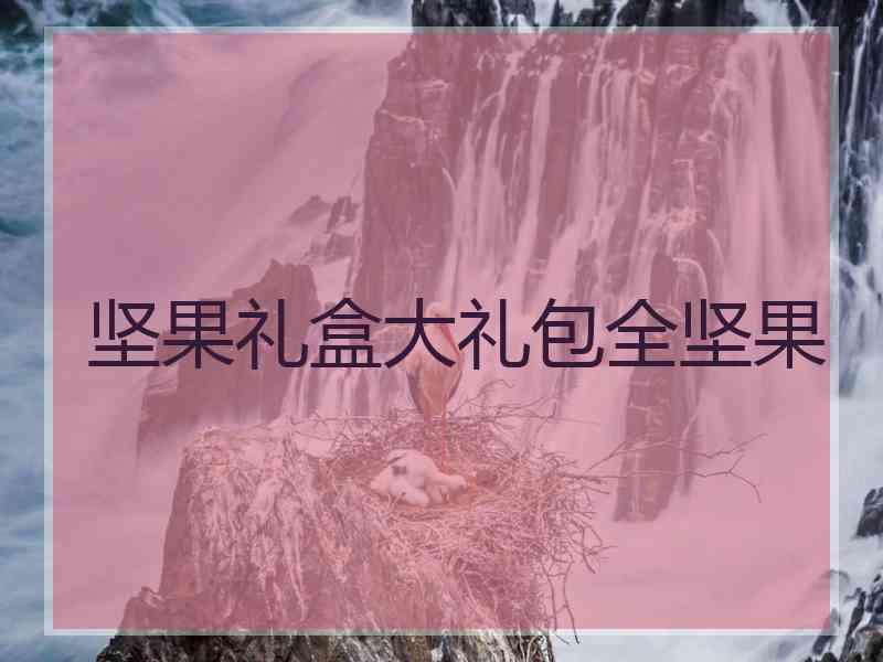 坚果礼盒大礼包全坚果