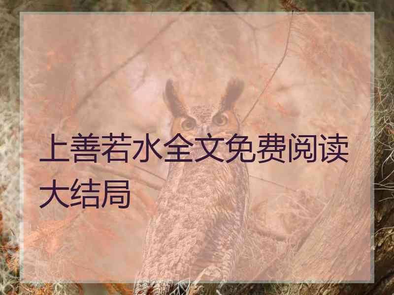 上善若水全文免费阅读大结局