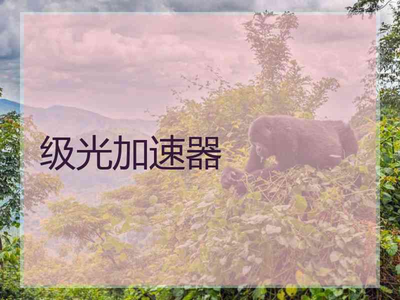 级光加速器