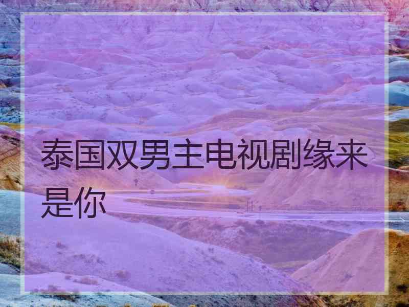 泰国双男主电视剧缘来是你