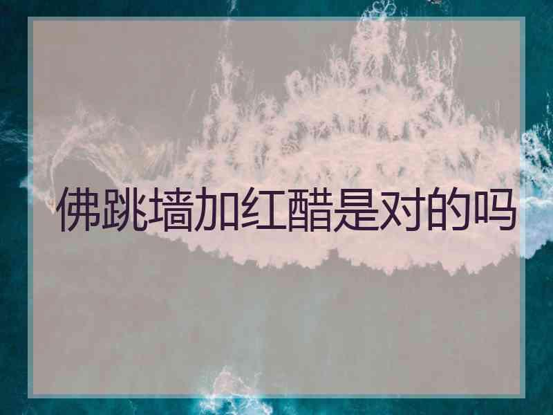佛跳墙加红醋是对的吗