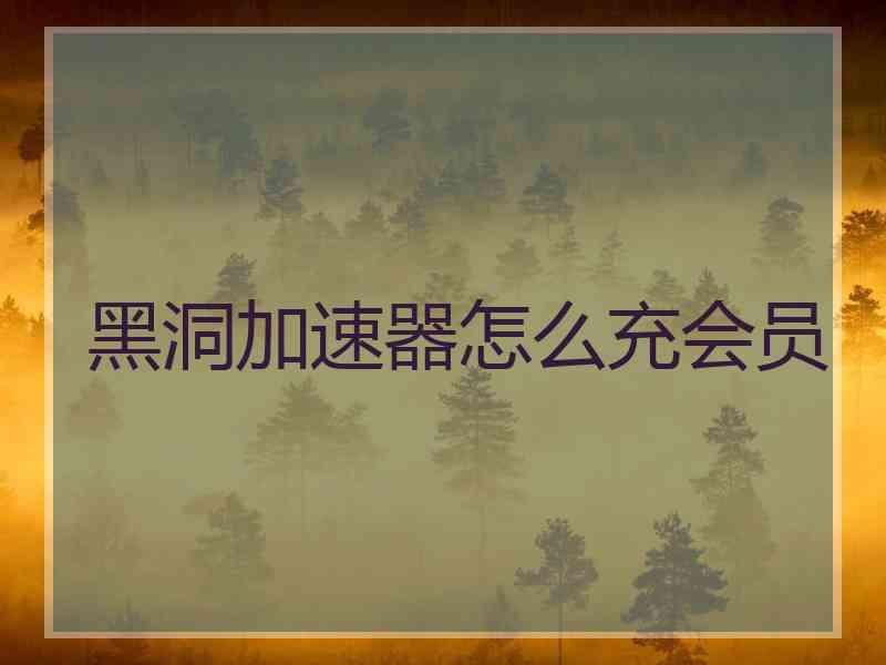 黑洞加速器怎么充会员