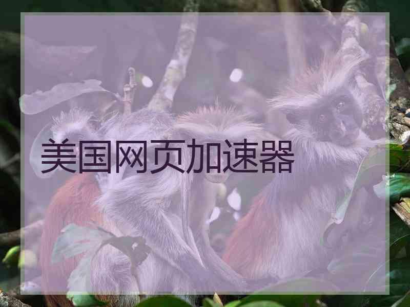 美国网页加速器
