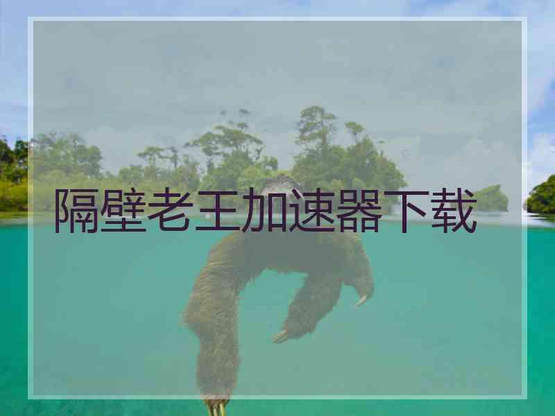 隔壁老王加速器下载