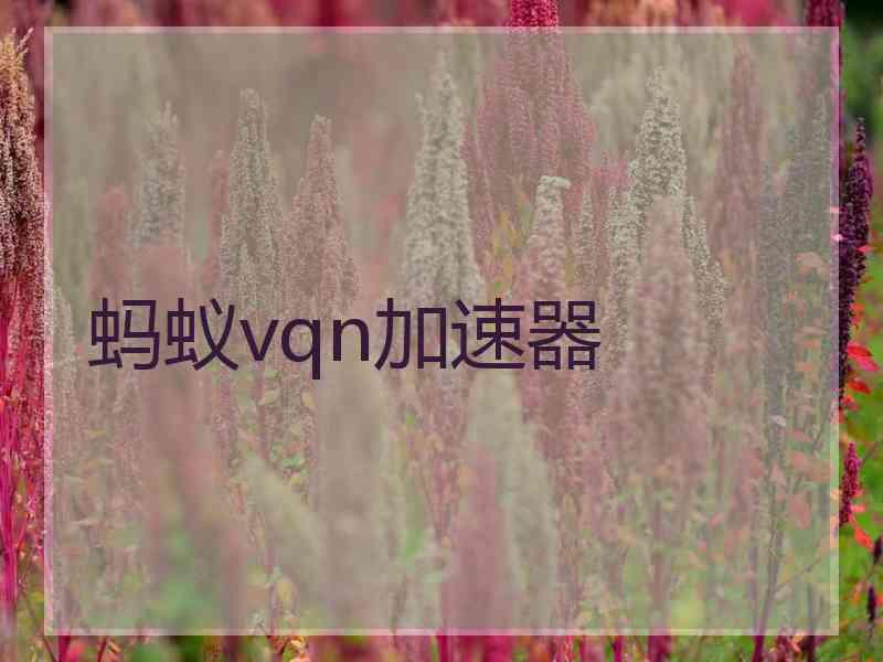 蚂蚁vqn加速器
