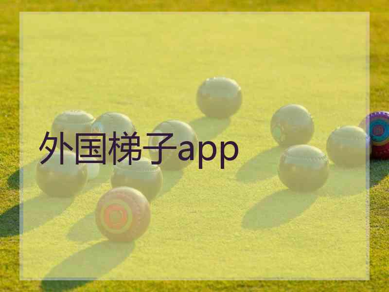 外国梯子app