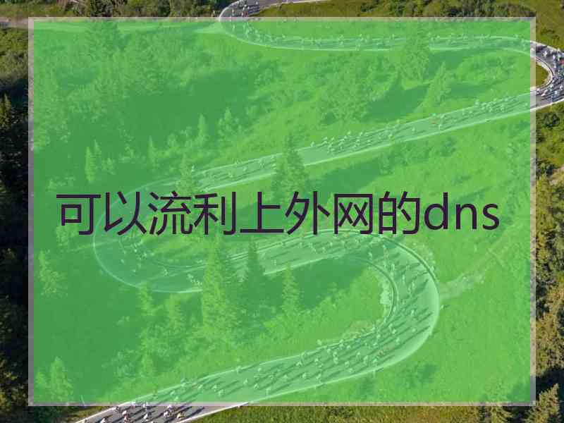 可以流利上外网的dns