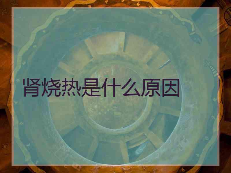 肾烧热是什么原因