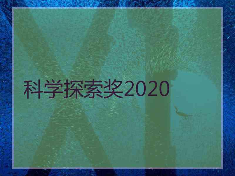 科学探索奖2020