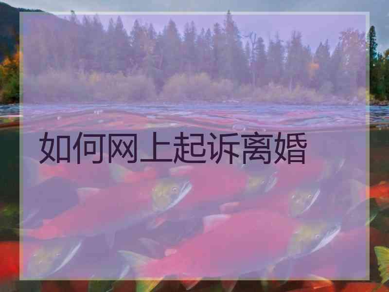 如何网上起诉离婚