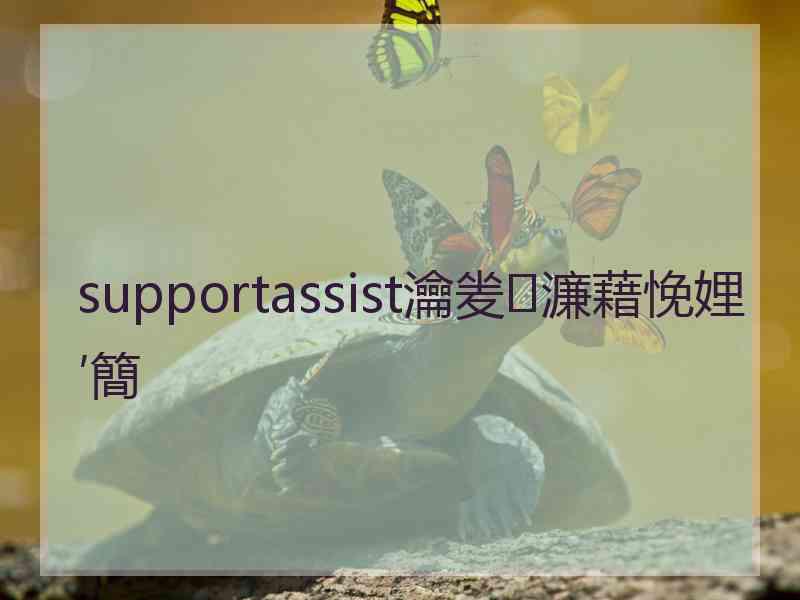 supportassist瀹夎濂藉悗娌′簡