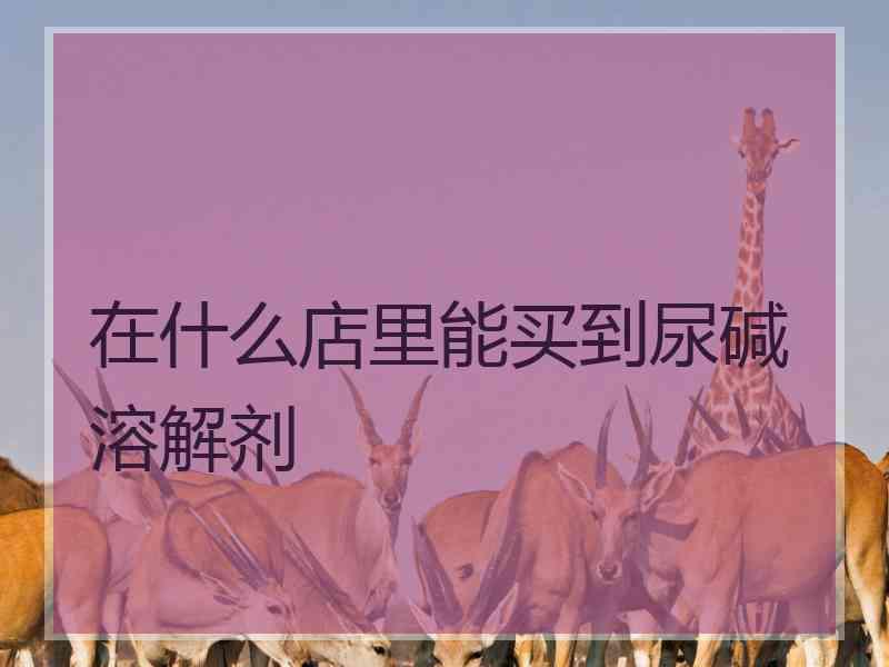 在什么店里能买到尿碱溶解剂