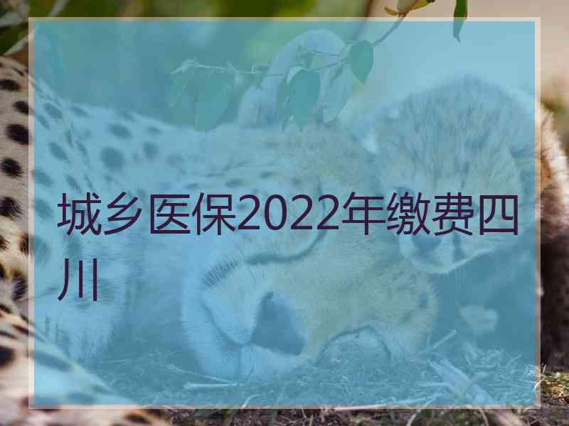城乡医保2022年缴费四川
