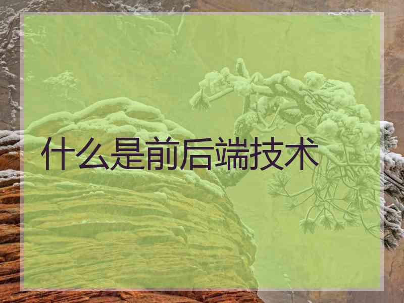 什么是前后端技术