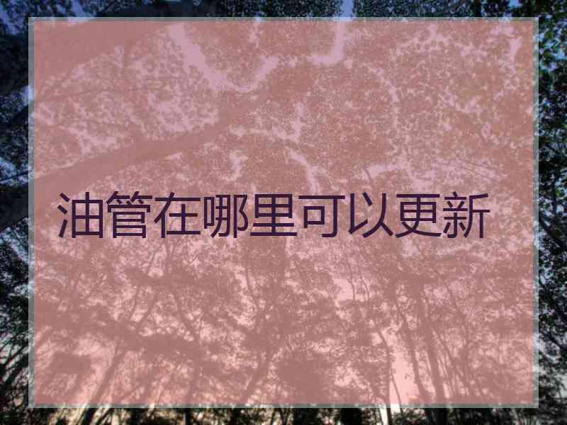 油管在哪里可以更新