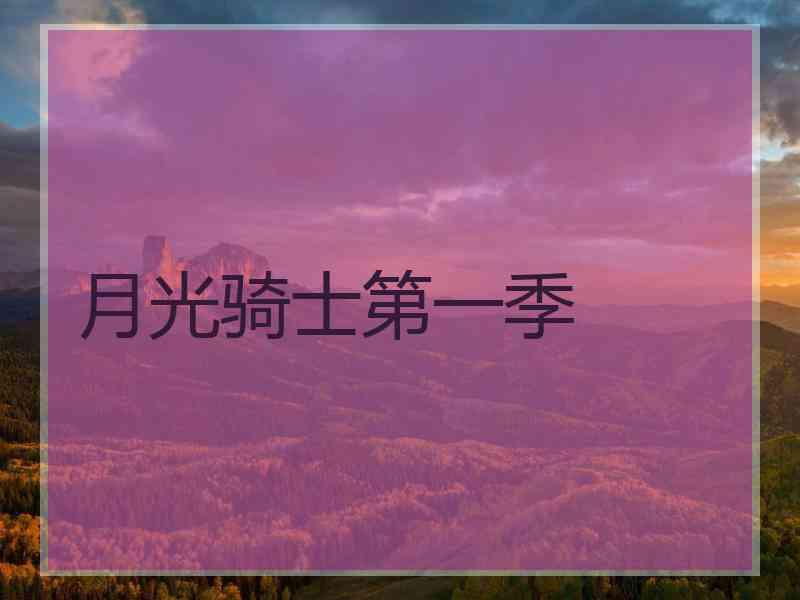 月光骑士第一季