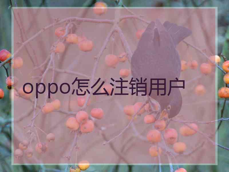 oppo怎么注销用户
