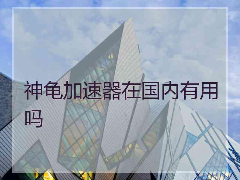神龟加速器在国内有用吗