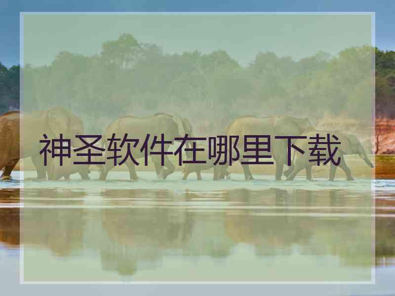 神圣软件在哪里下载