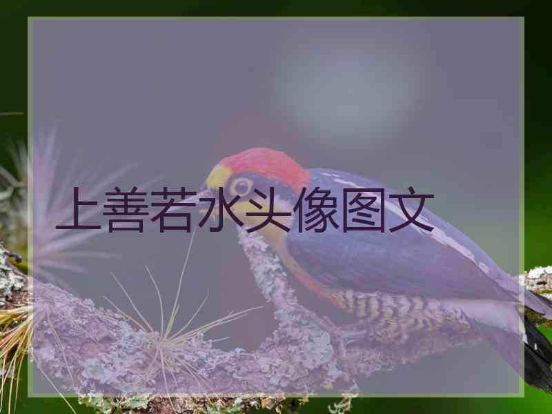 上善若水头像图文