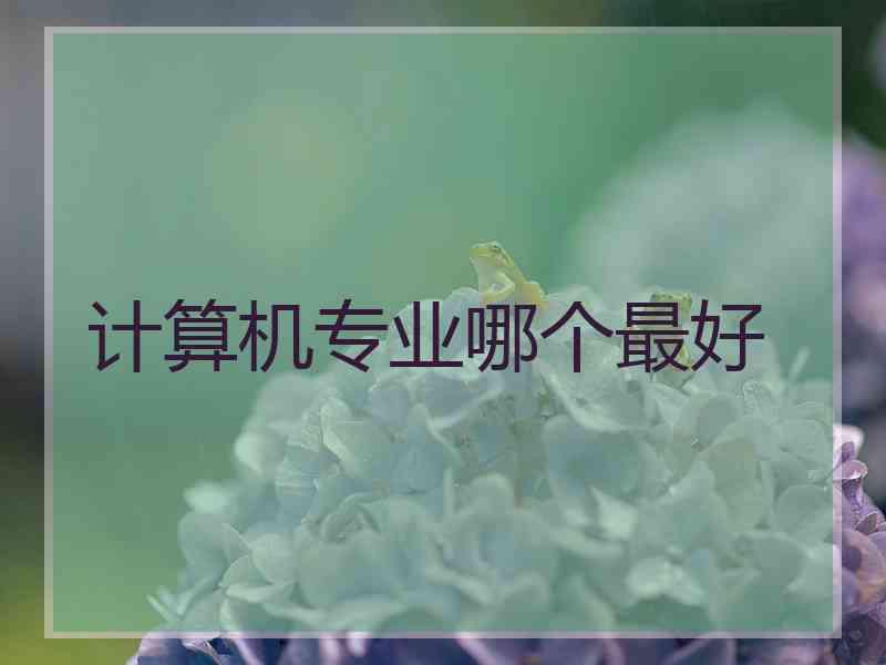 计算机专业哪个最好