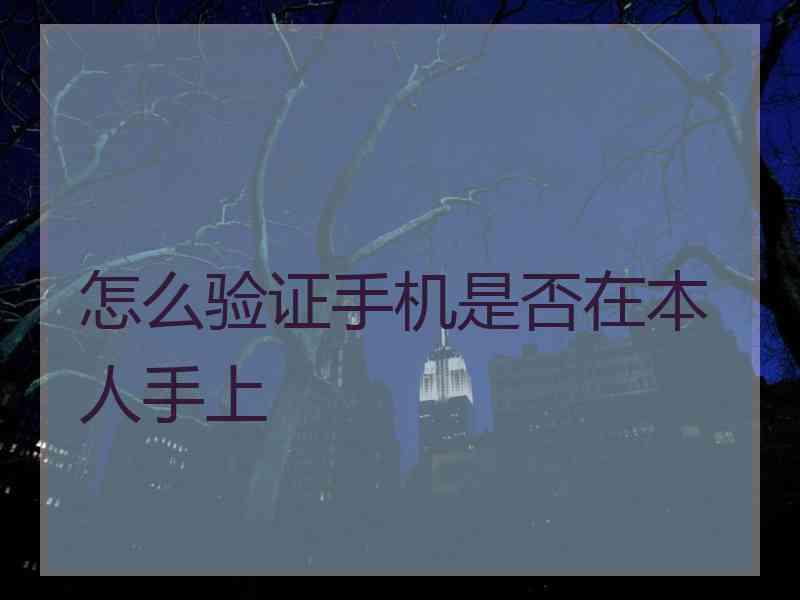 怎么验证手机是否在本人手上