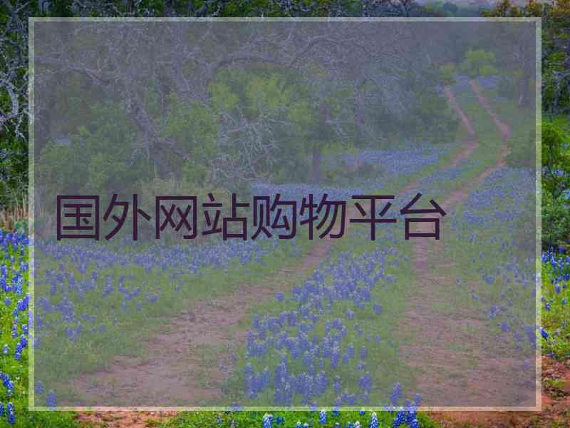 国外网站购物平台
