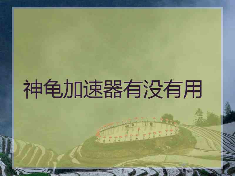神龟加速器有没有用