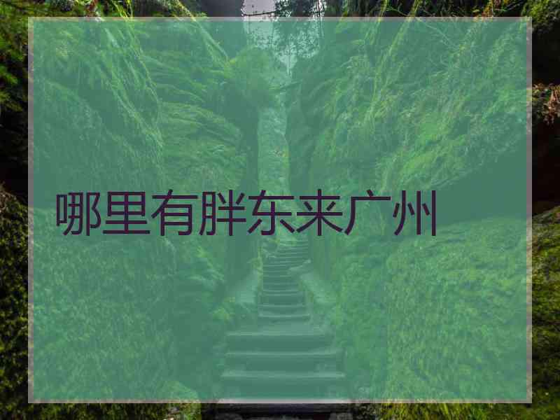 哪里有胖东来广州