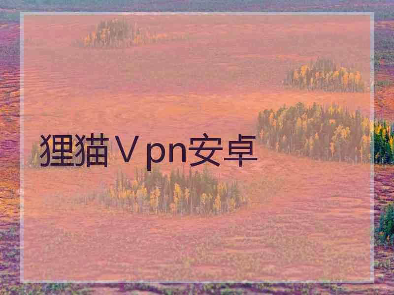 狸猫Ⅴpn安卓