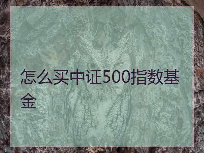 怎么买中证500指数基金